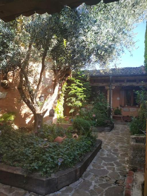Una Casa En El Planeta Losana de Piron 외부 사진